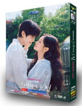 【DVD】韓国ドラマ<君へと続く僕のドリーム！（原題 :그대에게 드림/英題 :Dream to You）（2026年）>DVD BOX 5枚組 ファン・イニョプ・イ・ヘリ 主演 全12話収録 日本語字幕