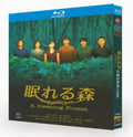 【Blu-ray】眠れる森 Blu-ray BOX 中山美穂/木村拓哉/仲村トオル/風間俊介